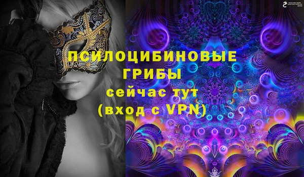 прущие грибы Бронницы